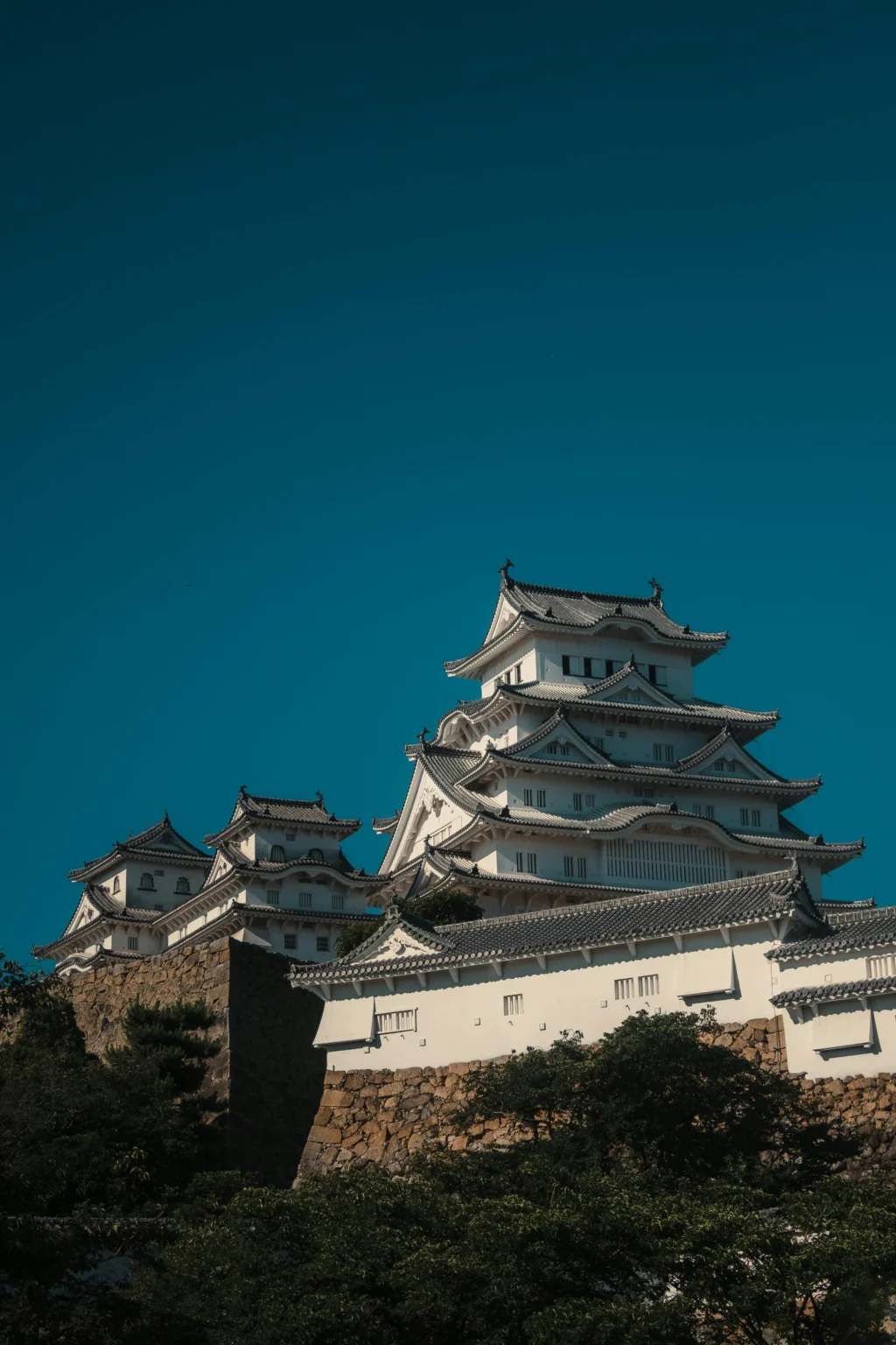 Exóticos - Japão