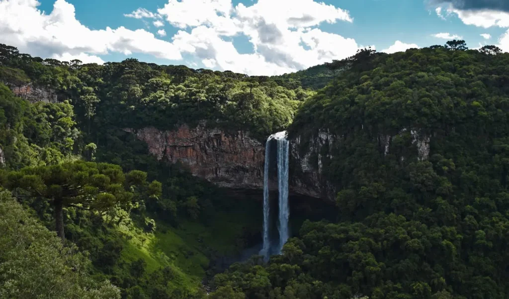 cascata do caracol - canela e gramado